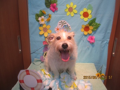 ファイル 8471-1.jpg