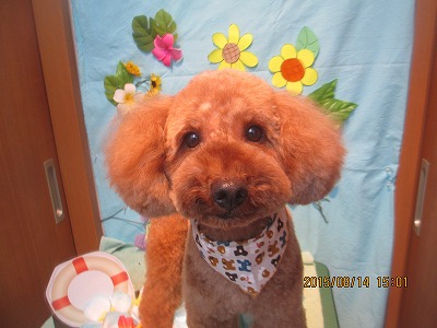 ファイル 8473-1.jpg