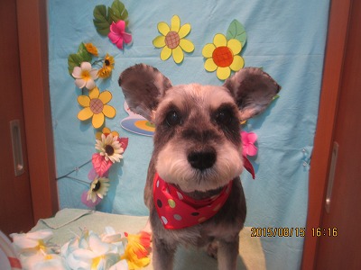 ファイル 8475-1.jpg