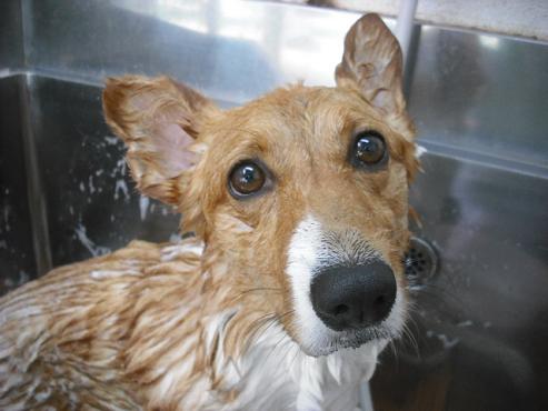 ファイル 848-2.jpg