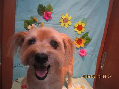 ファイル 8489-1.jpg