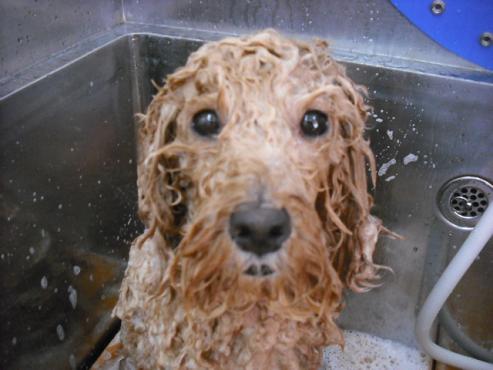 ファイル 849-3.jpg