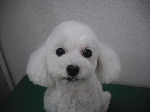 ファイル 85-1.jpg