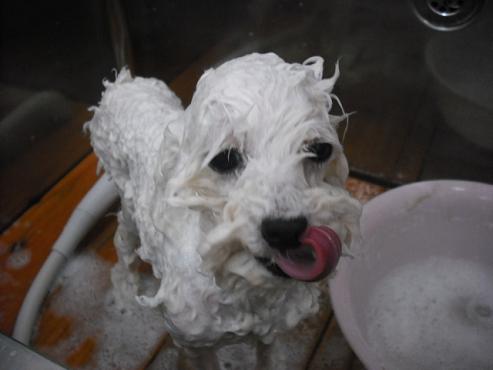 ファイル 85-3.jpg