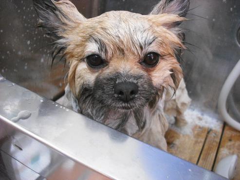 ファイル 850-3.jpg