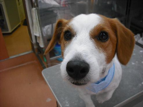 ファイル 851-1.jpg