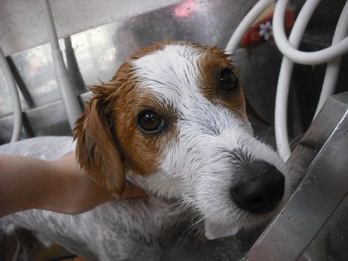 ファイル 851-2.jpg