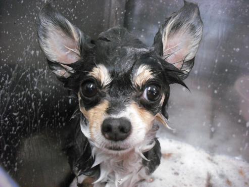 ファイル 853-2.jpg