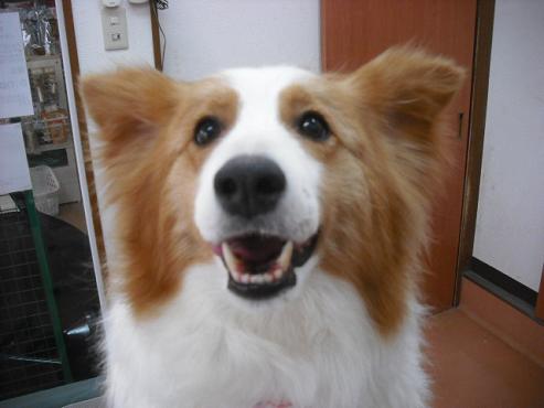 ファイル 854-2.jpg