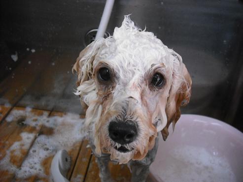 ファイル 855-2.jpg