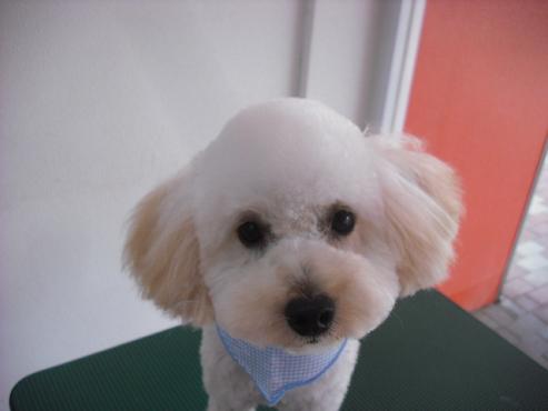 ファイル 856-2.jpg