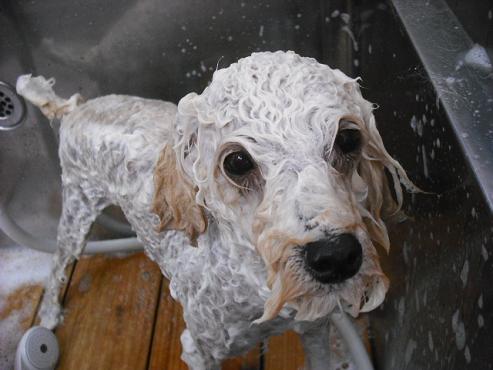 ファイル 856-3.jpg