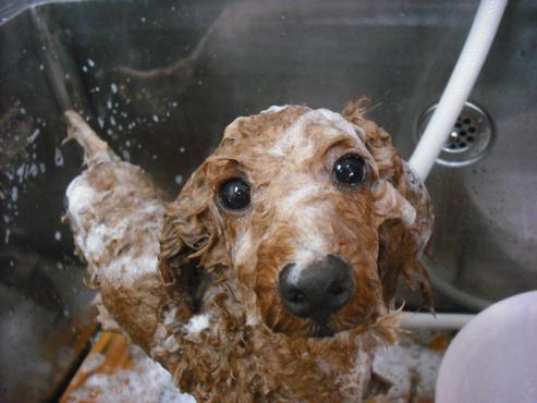 ファイル 857-3.jpg