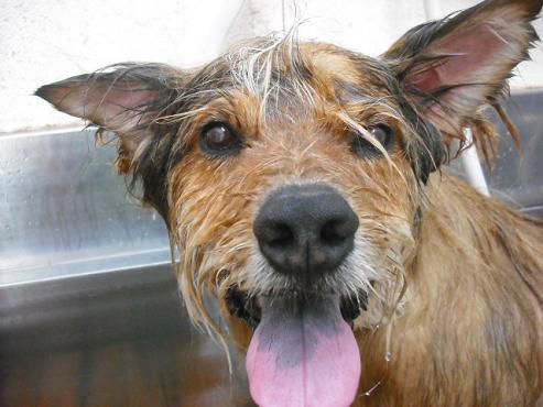 ファイル 858-2.jpg