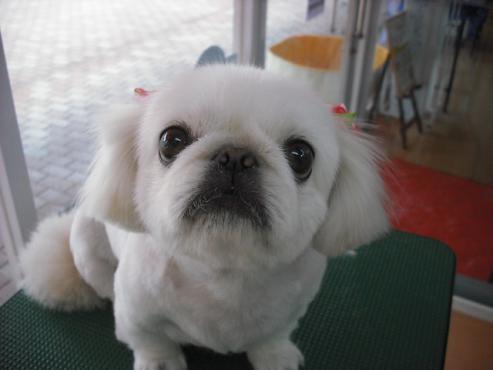 ファイル 859-3.jpg