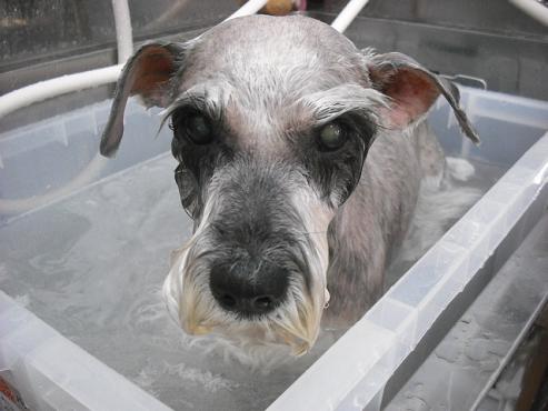 ファイル 86-3.jpg