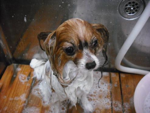 ファイル 860-2.jpg