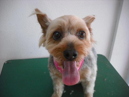 ファイル 861-1.jpg