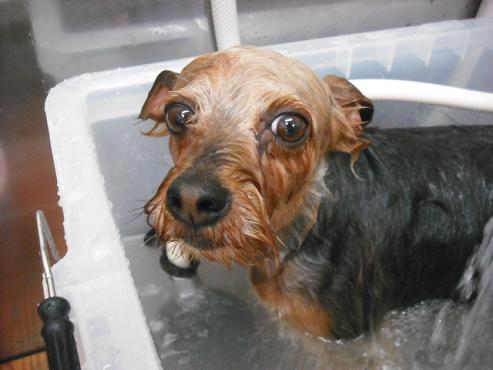 ファイル 861-2.jpg