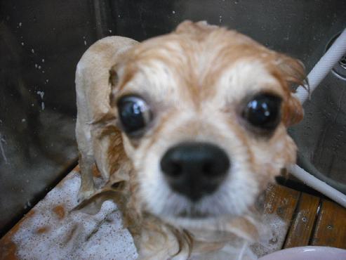 ファイル 862-3.jpg