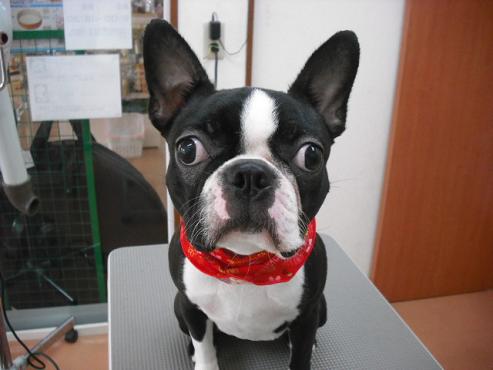 ファイル 863-1.jpg