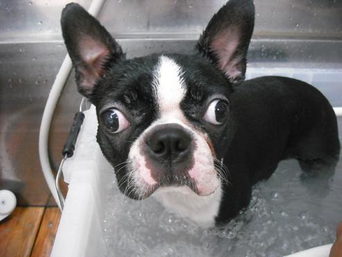 ファイル 863-2.jpg