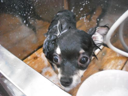 ファイル 864-3.jpg