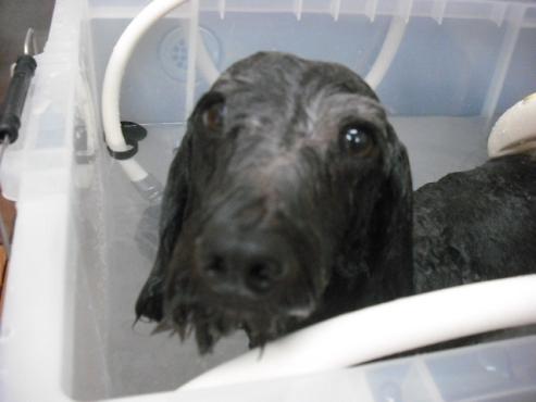 ファイル 865-2.jpg