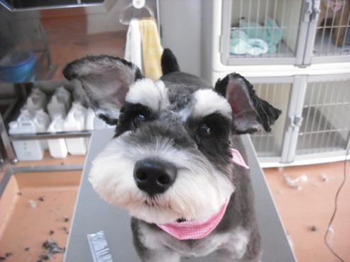 ファイル 866-1.jpg