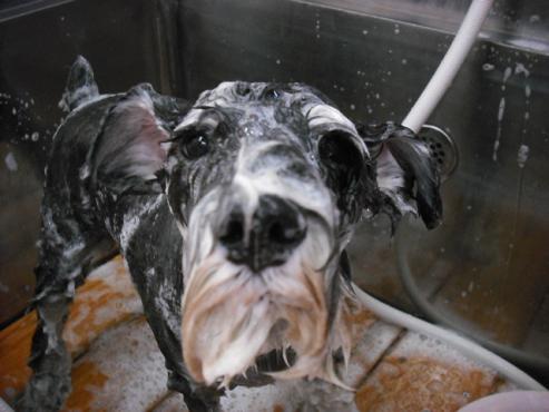 ファイル 866-2.jpg