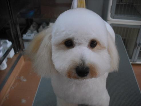 ファイル 867-2.jpg