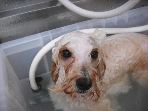 ファイル 867-3.jpg