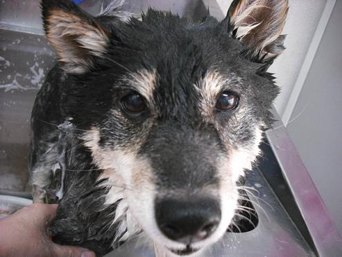 ファイル 868-3.jpg