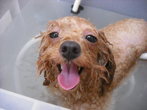 ファイル 869-2.jpg