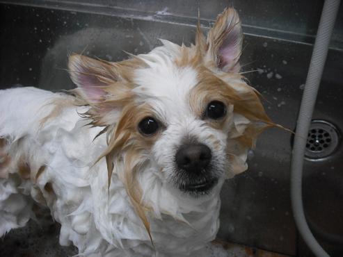 ファイル 87-3.jpg