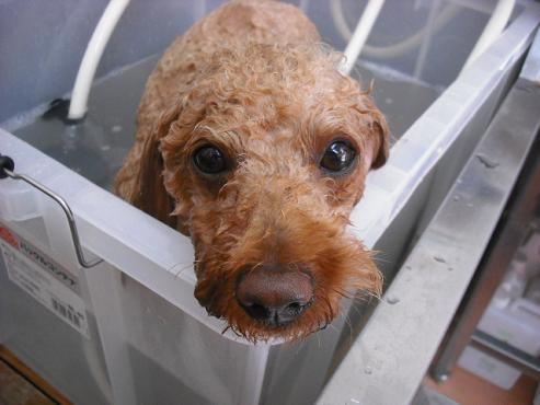 ファイル 870-2.jpg