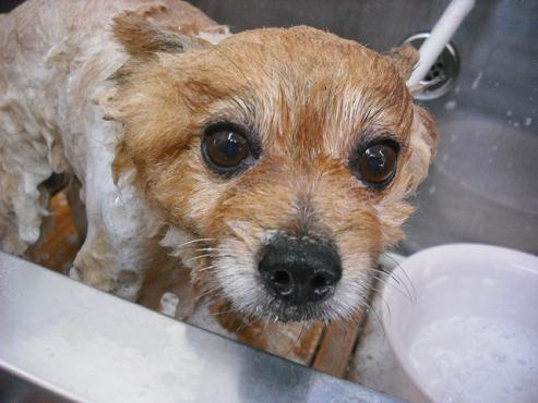 ファイル 871-3.jpg