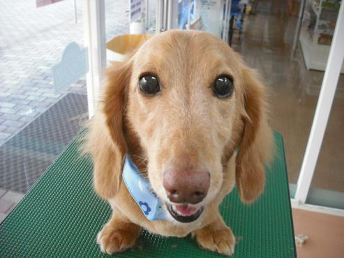 ファイル 872-1.jpg