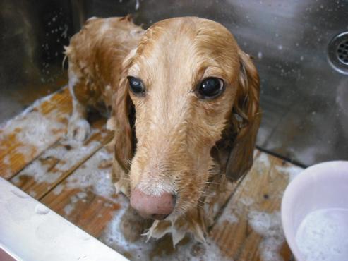 ファイル 872-3.jpg