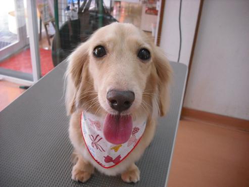 ファイル 873-1.jpg