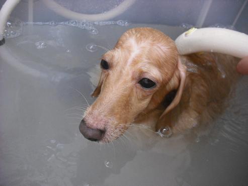 ファイル 873-3.jpg