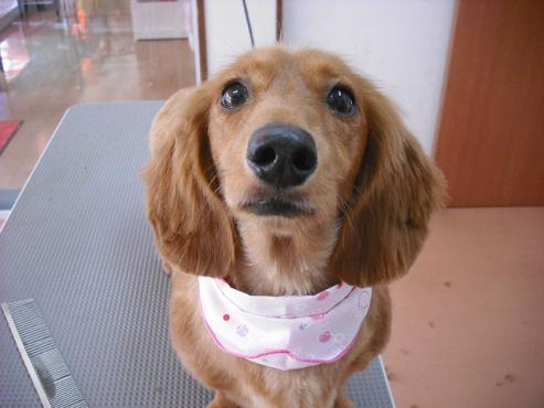 ファイル 874-1.jpg