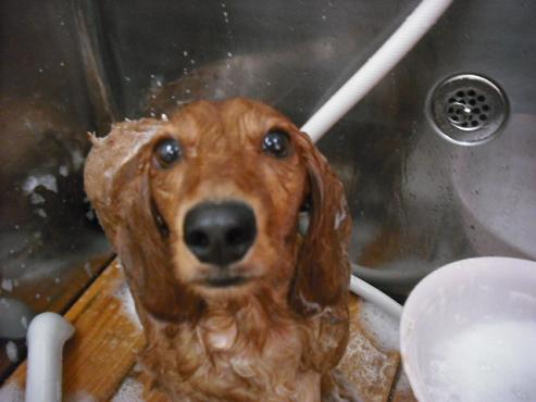 ファイル 874-3.jpg