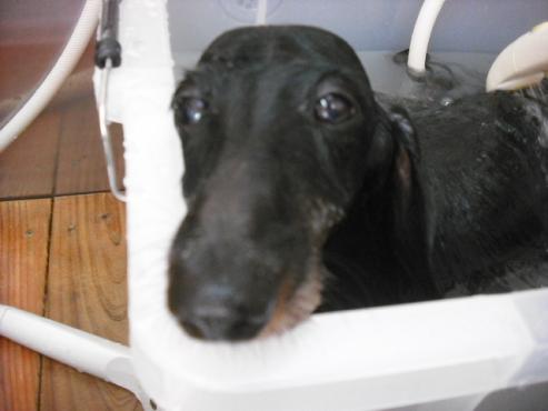 ファイル 875-3.jpg