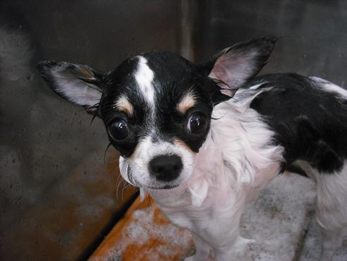 ファイル 876-2.jpg