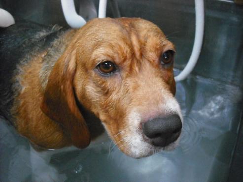 ファイル 877-2.jpg