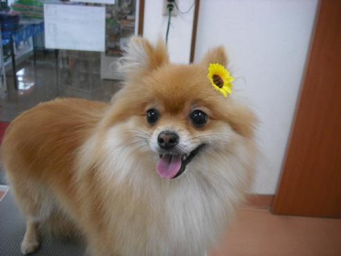 ファイル 878-1.jpg