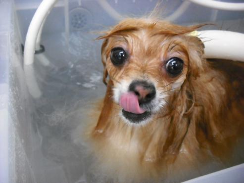 ファイル 878-3.jpg