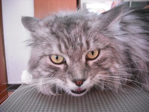 ファイル 879-1.jpg