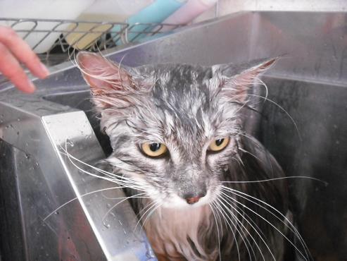 ファイル 879-2.jpg